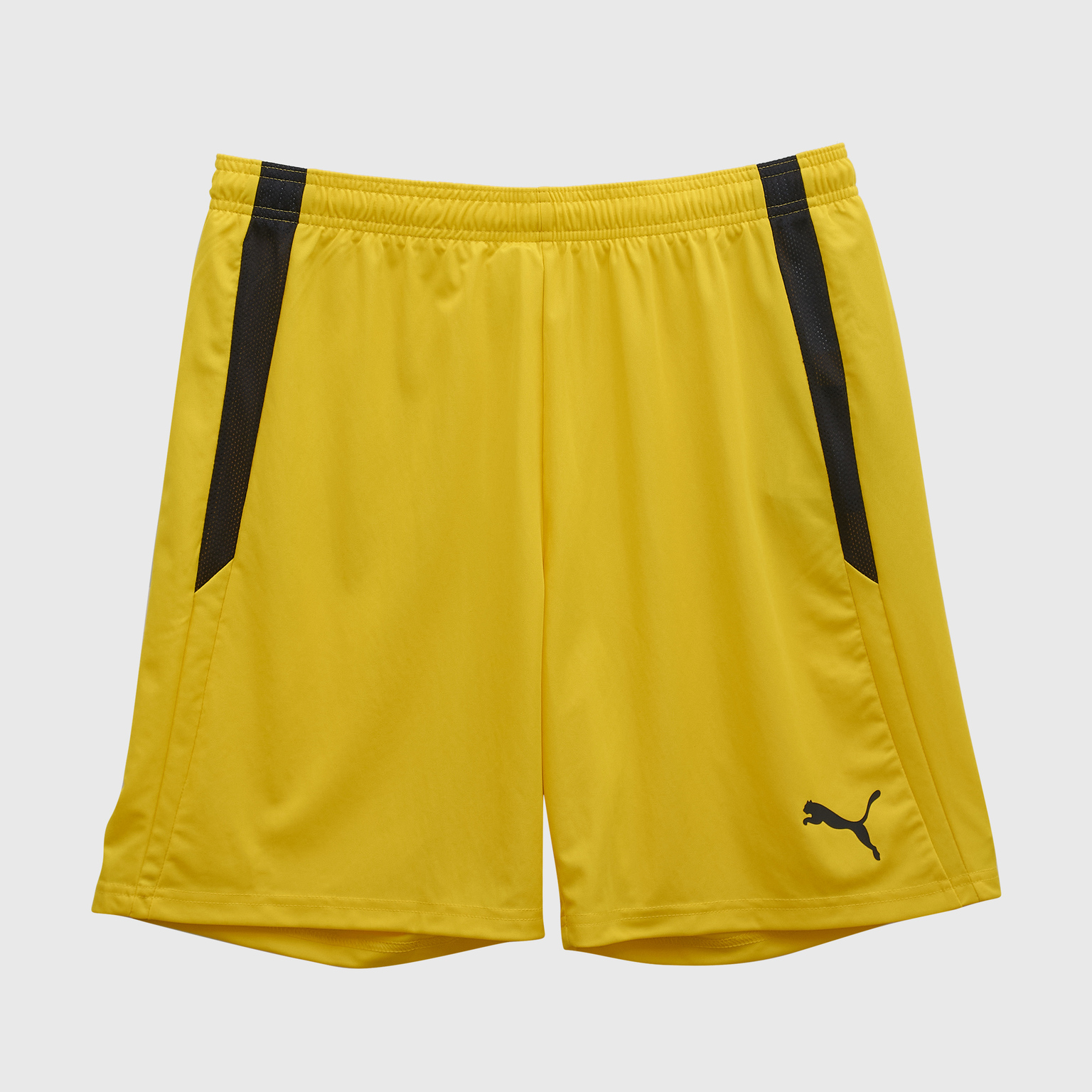 Шорты игровые Puma Teamliga 70492407