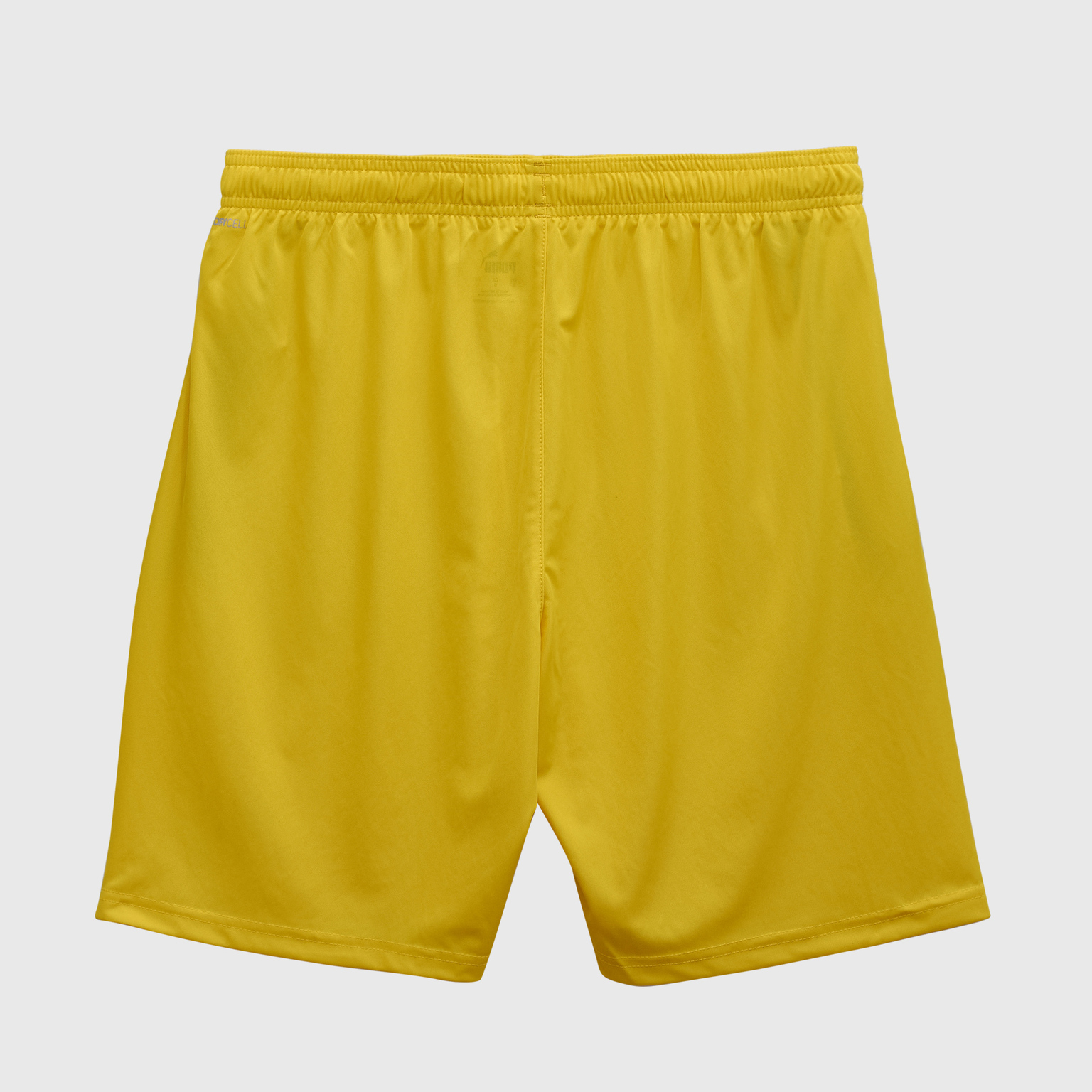 Шорты игровые Puma Teamliga 70492407