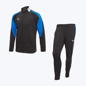 Костюм спортивный Puma Individualliga 65952209