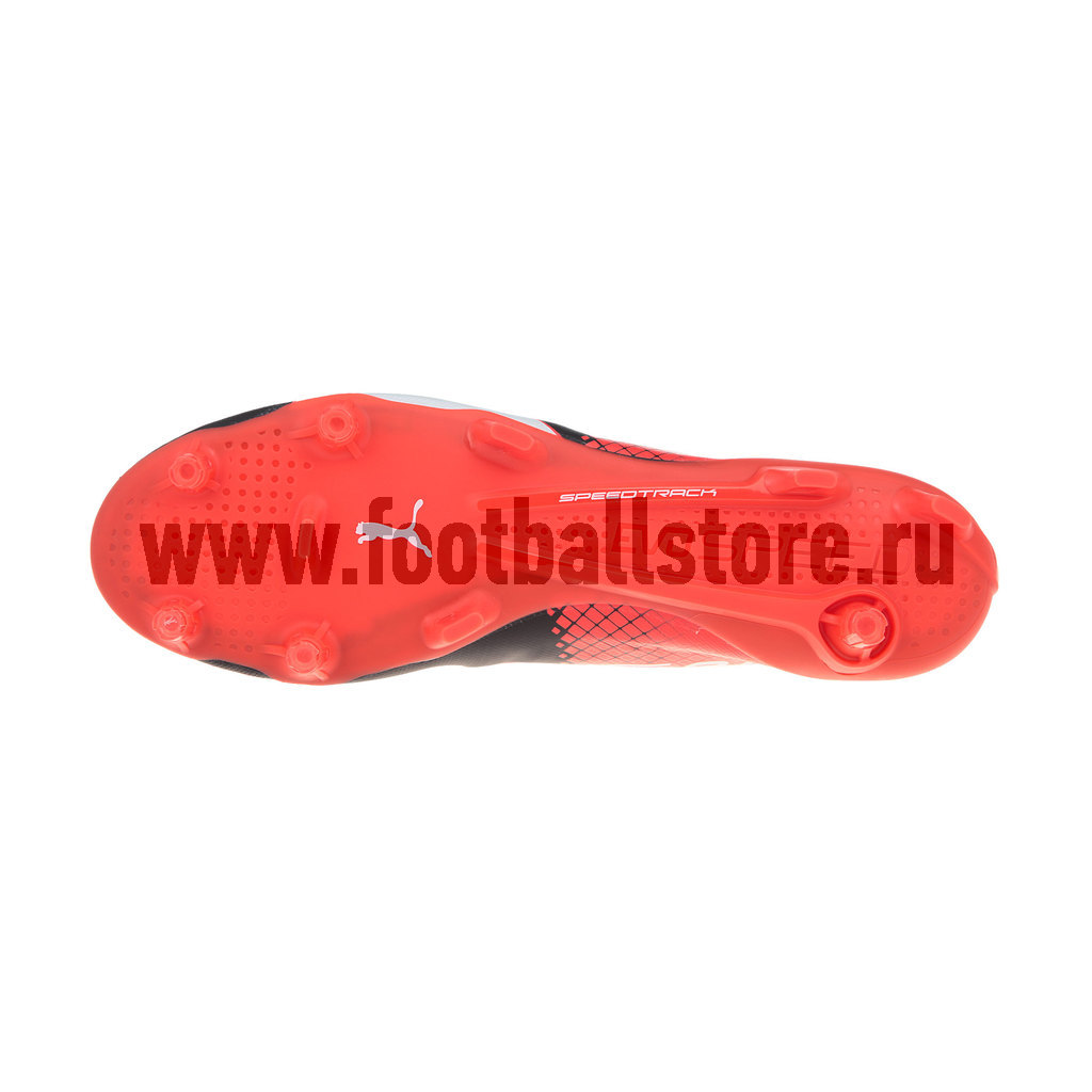 Бутсы Puma EvoSpeed SL II FG 10366203 