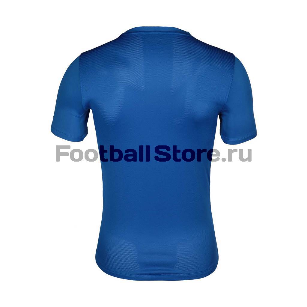 Футболка  игроваяNike SS Striped Division II JSY 725893-463