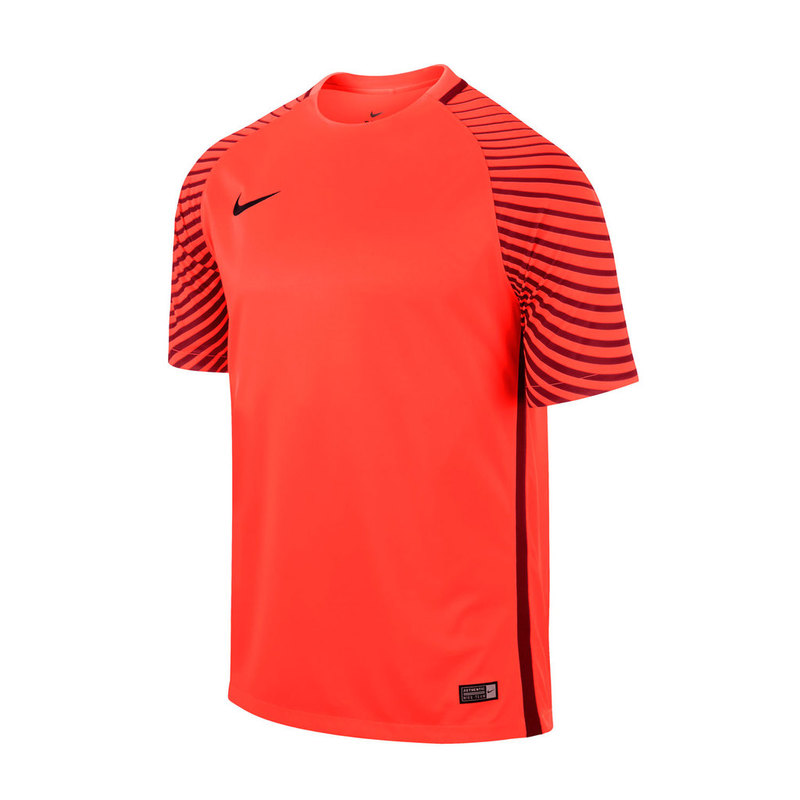 Вратарская футболка Nike SS Garden JSY 725889-671