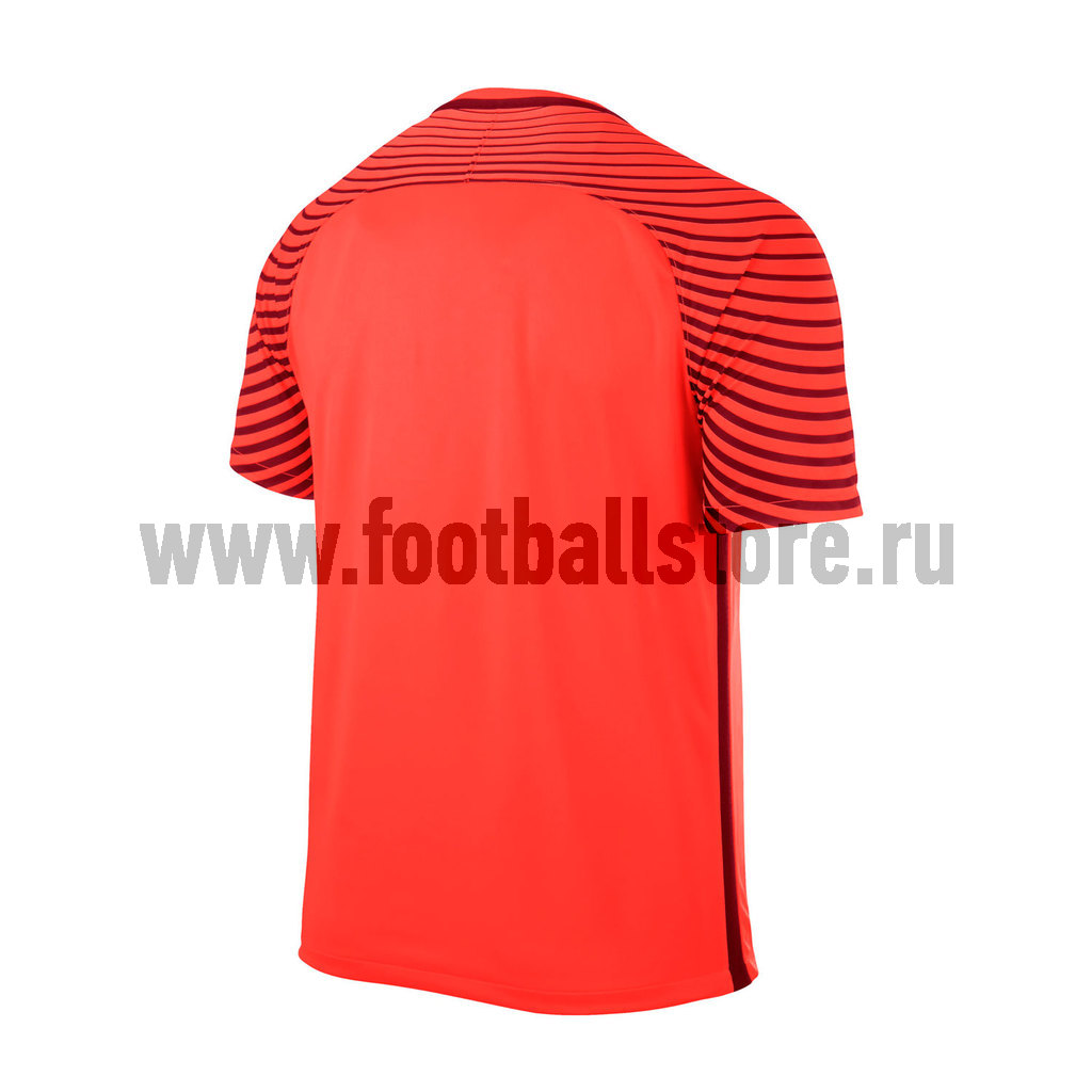 Вратарская футболка Nike SS Garden JSY 725889-671