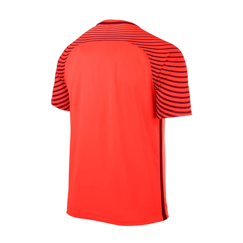 Вратарская футболка Nike SS Garden JSY 725889-671