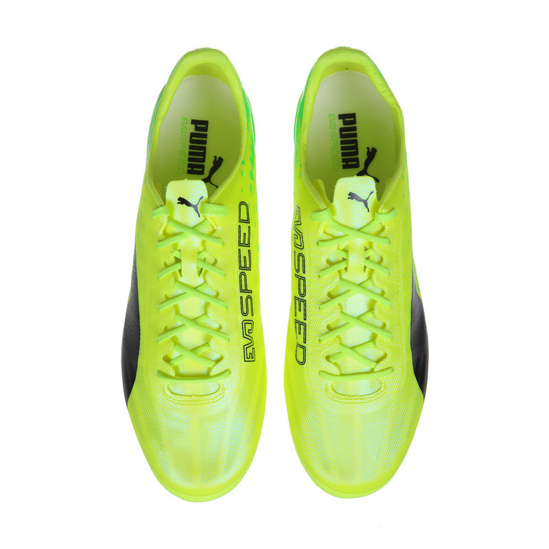 Бутсы Puma EvoSpeed 17 SL FG 10400601