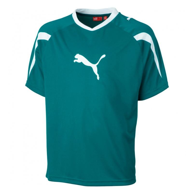 Майка тренировочная Puma pwr-c 5.10 training tee