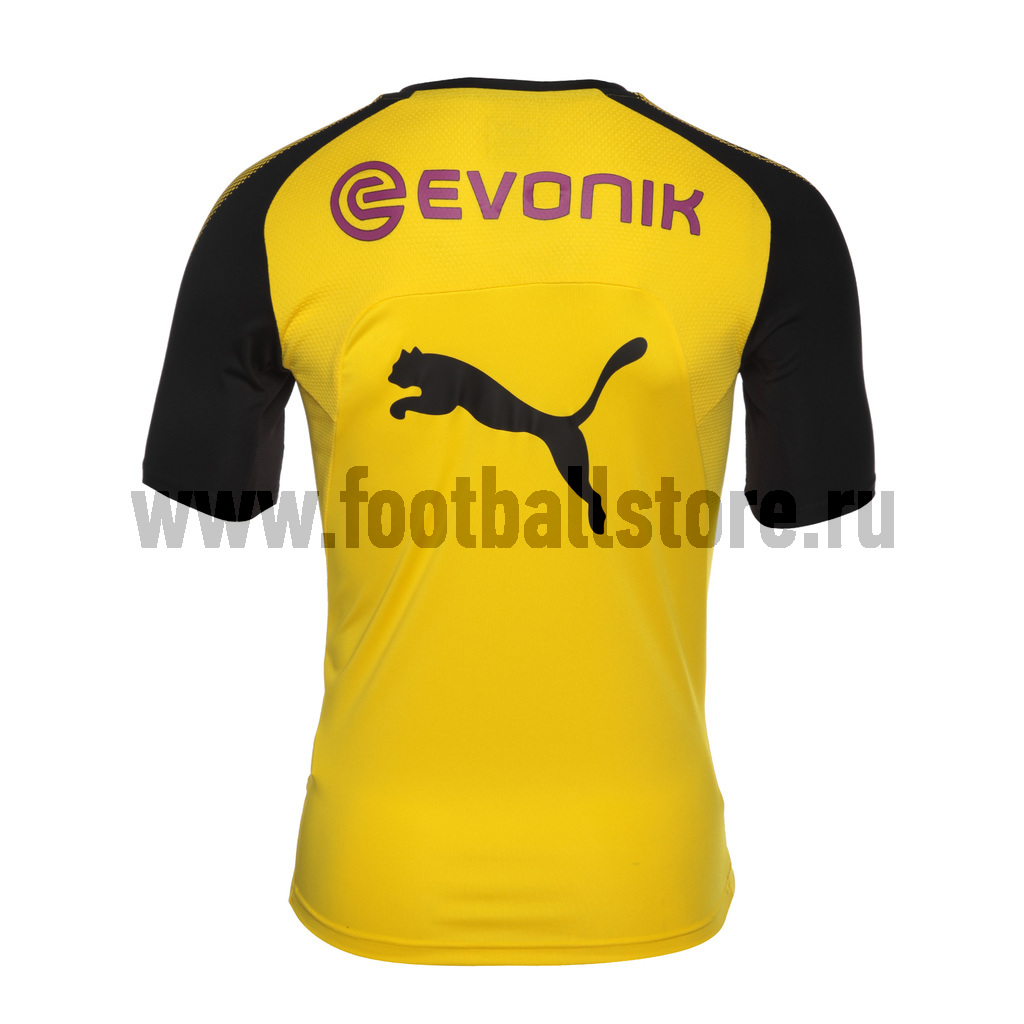 Футболка тренировочная Puma Borussia 751765011 