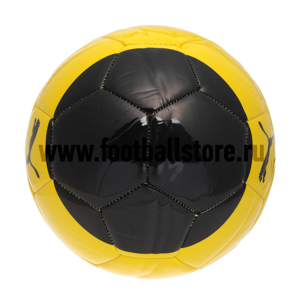 Мяч Puma Borussia FAN 08282601