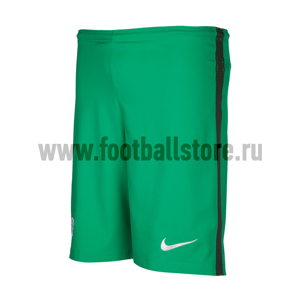 Детские вратарские шорты Nike Zenit 808595-319