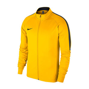 Куртка для костюма подростковая Nike Dry Academy18 893751-719