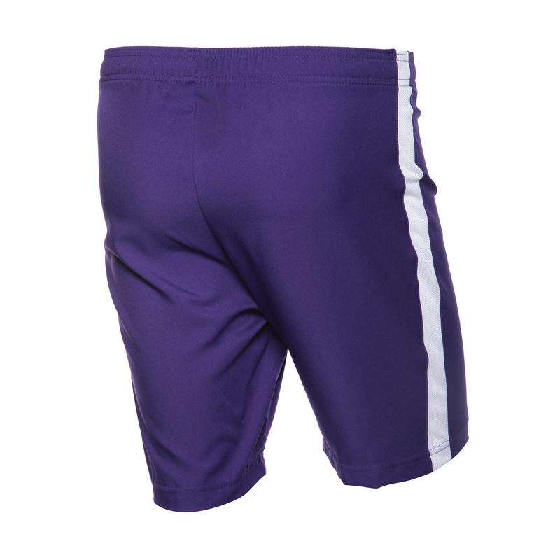 Шорты игровые Nike Dry Short II WVN 894331-547