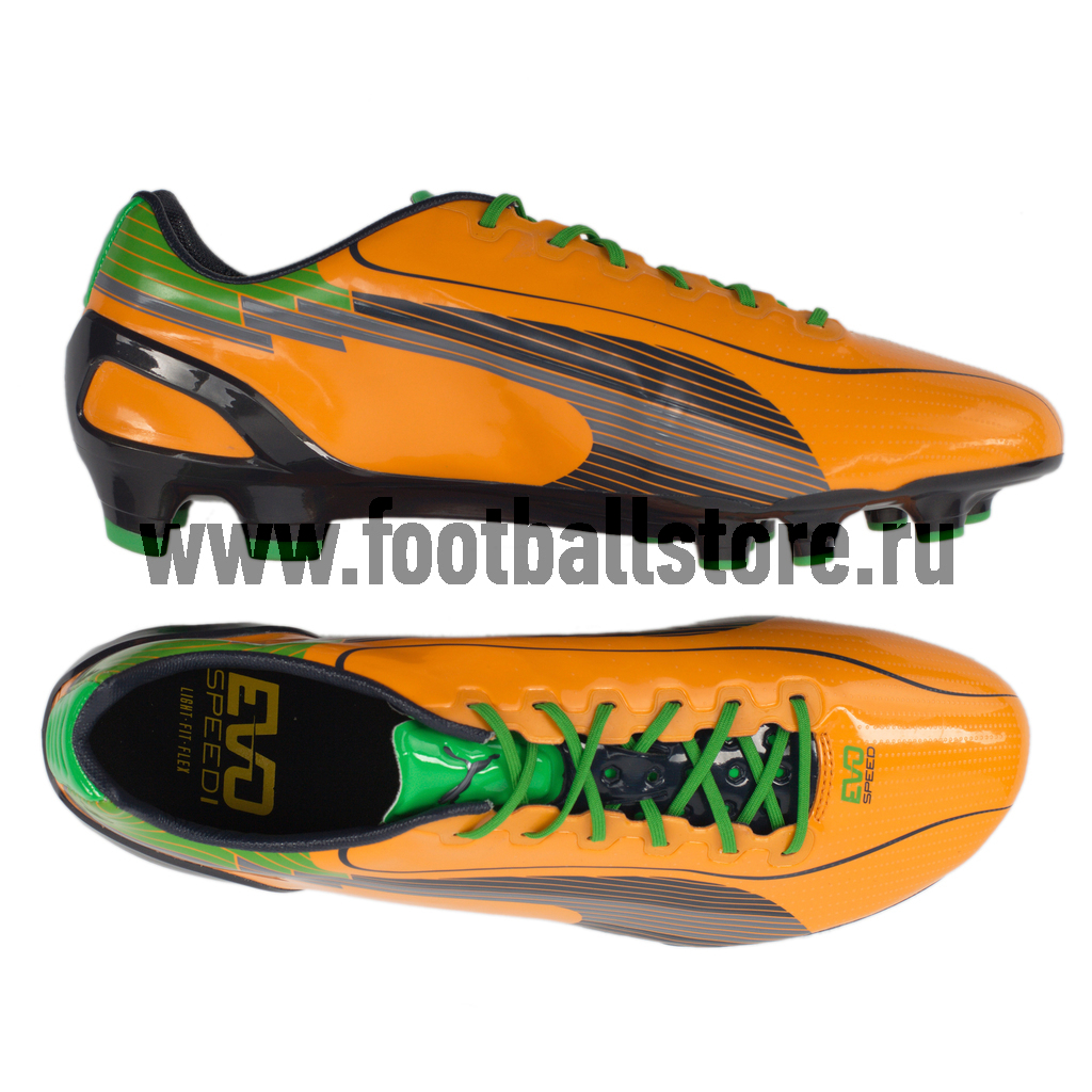 Бутсы Puma Evospeed 1 FG 10252702