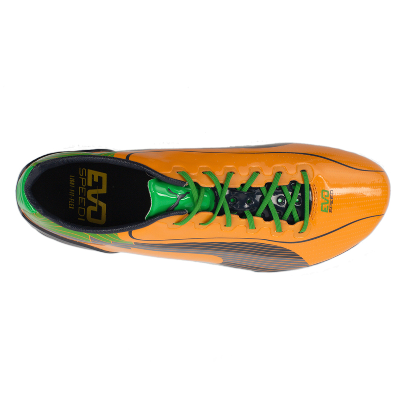 Бутсы Puma Evospeed 1 FG 10252702