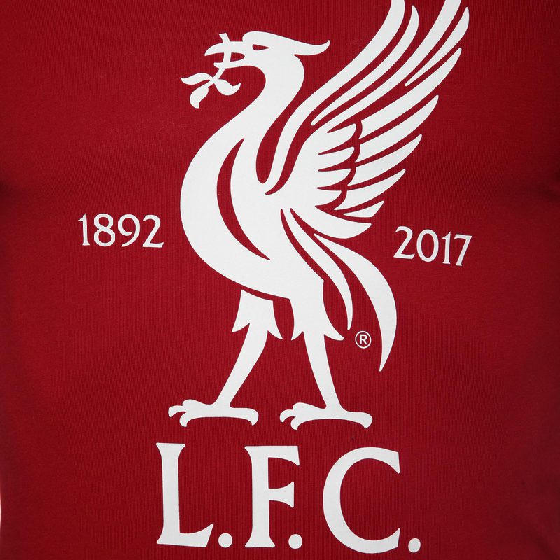 Футболка New Balance Liverpool Graphic AMT71595/RDP