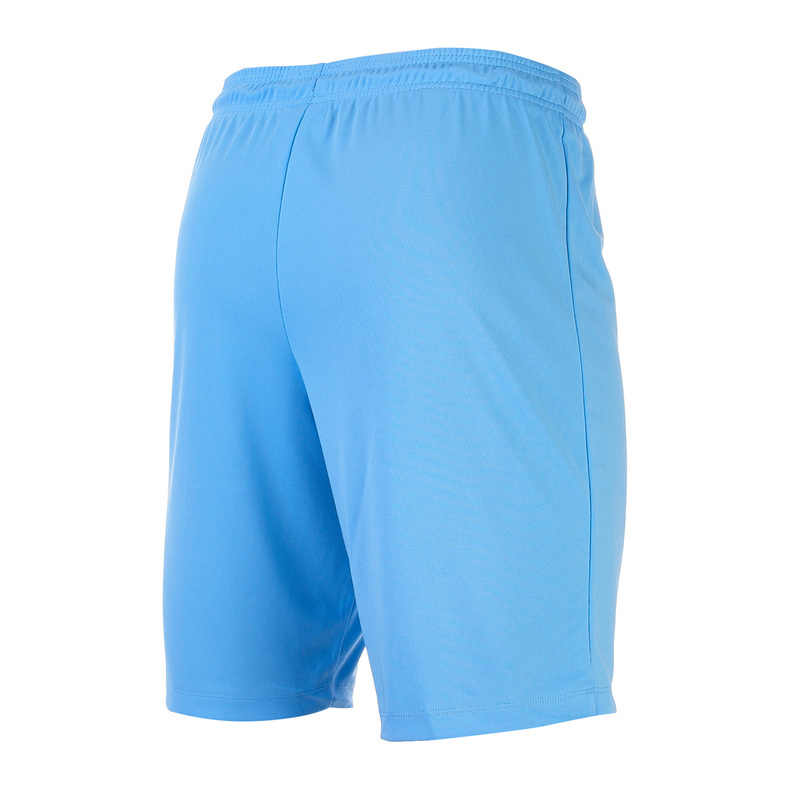 Шорты Nike Park II KNIT Short NB 725887-412