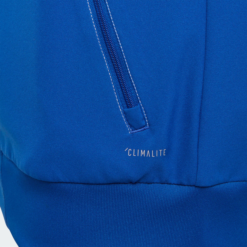 Олимпийка Adidas Russia JKT CE8778 