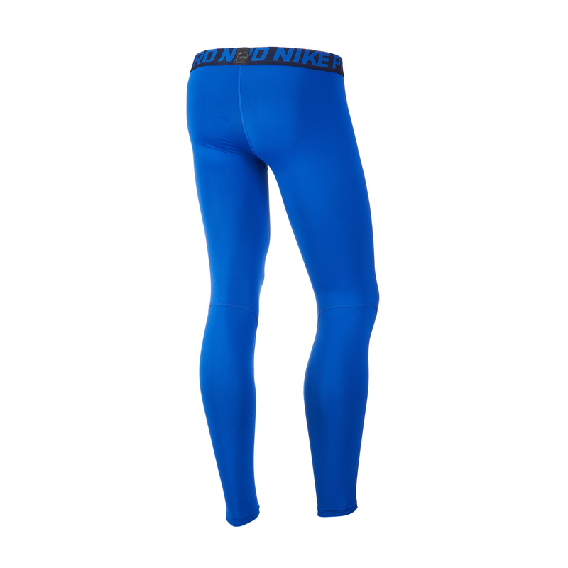 Белье лосины Nike Pro Tights 838067-480