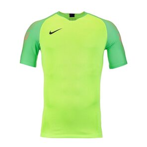 Вратарская футболка Nike Gardien II GK SS 894512-398