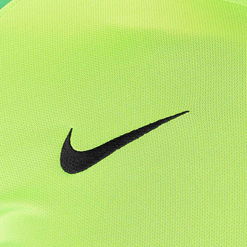 Вратарская футболка Nike Gardien II GK 898043-398