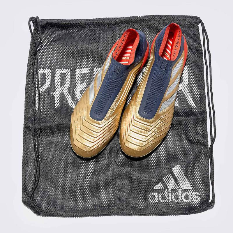 Бутсы Adidas Predator 19+ FG Zidane/ Beckham boots G27781