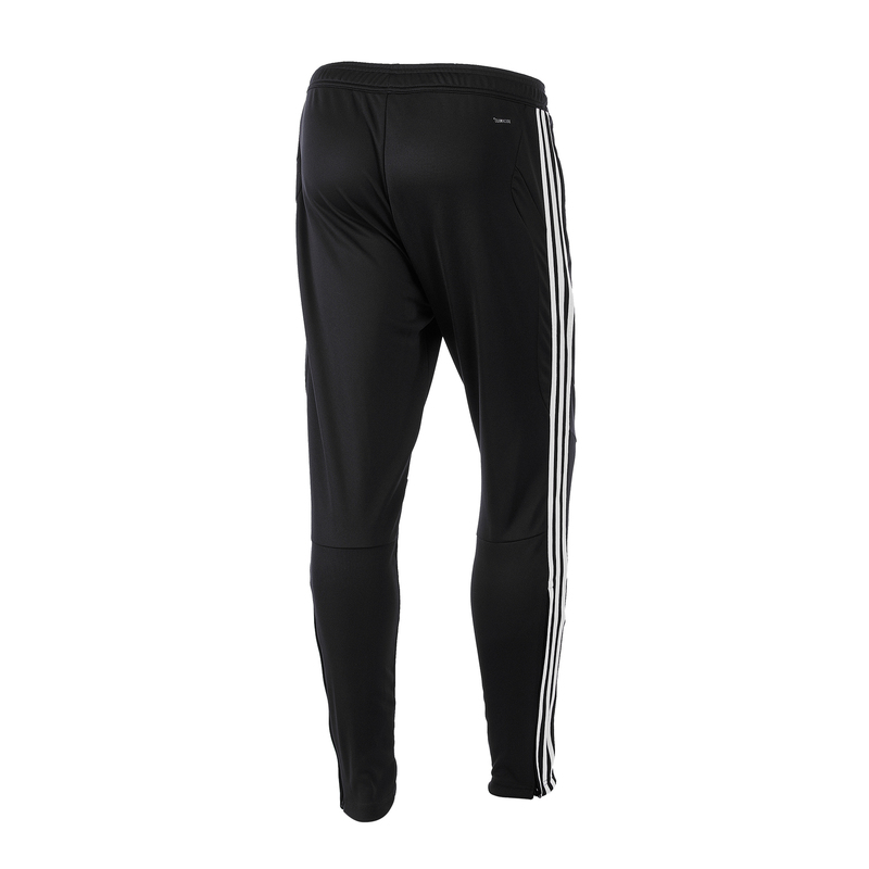 Брюки тренировочные Adidas Tiro19 TR Pant D95958