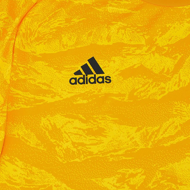 Вратарская футболка Adidas Adipro19 GK DP3133