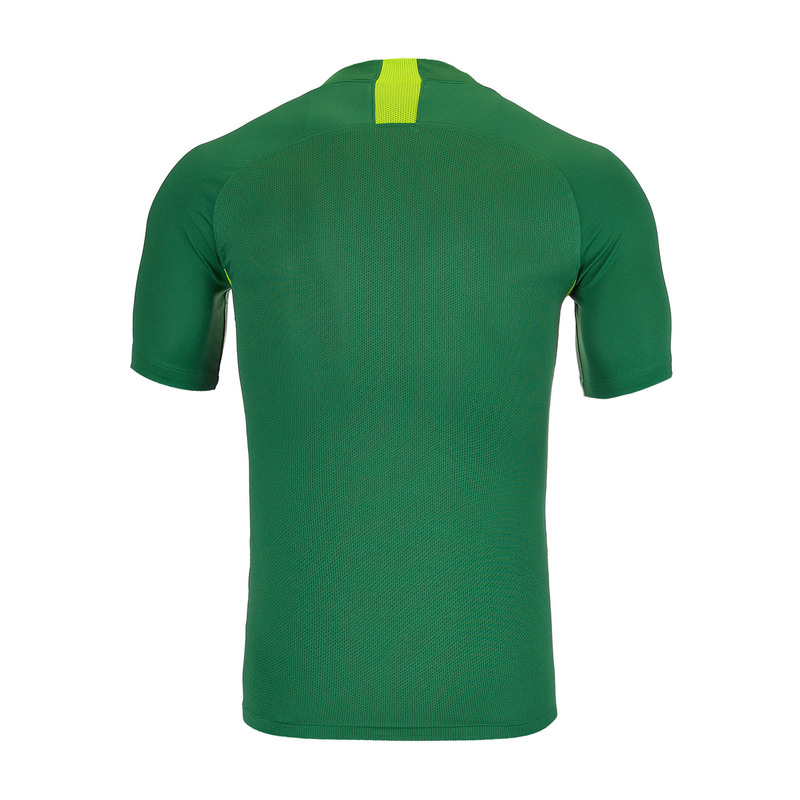 Футболка игровая Nike Dry Legend JSY SS AJ0998-302