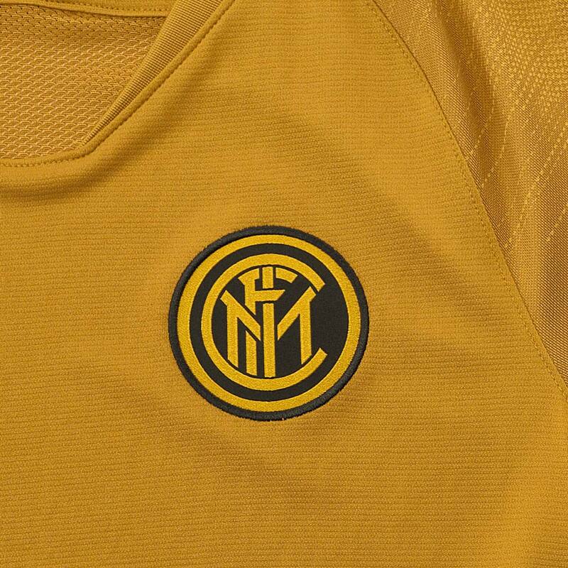 Футболка тренировочная Nike Inter Top AO5154-255