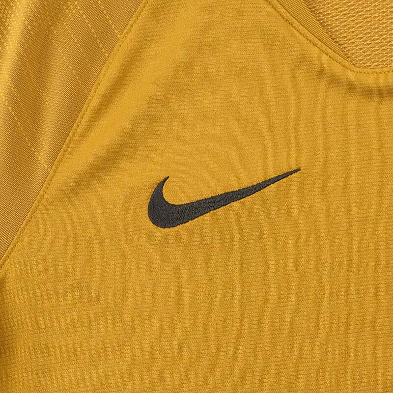 Футболка тренировочная Nike Inter Top AO5154-255