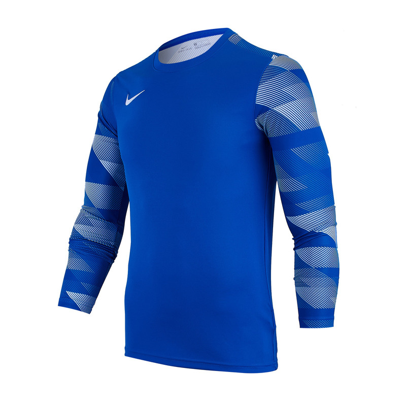 Свитер вратарский Nike Dry Park IV CJ6066-463