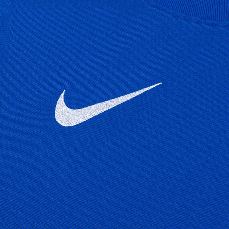 Свитер вратарский Nike Dry Park IV CJ6066-463
