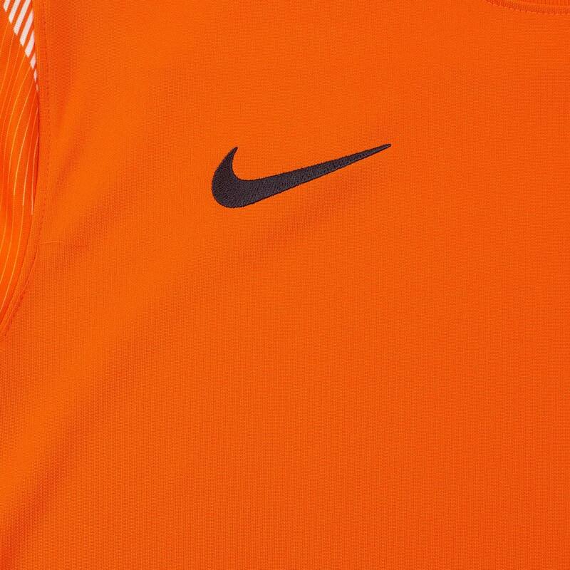 Свитер вратарский подростковый Nike Dry Park IV CJ6072-819