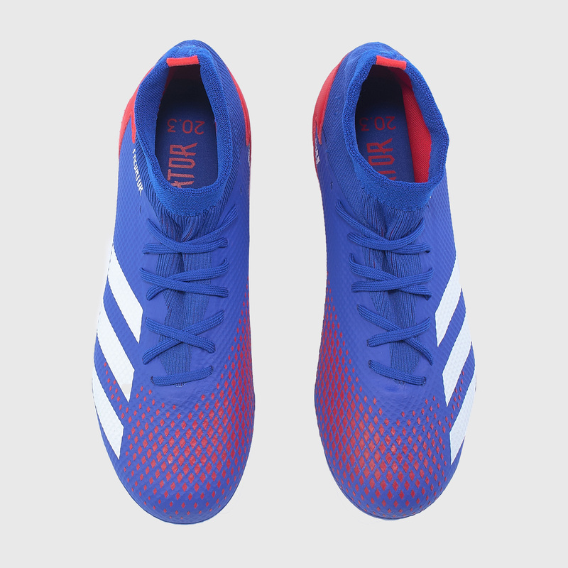 Бутсы Adidas Predator 20.3 FG EG0964