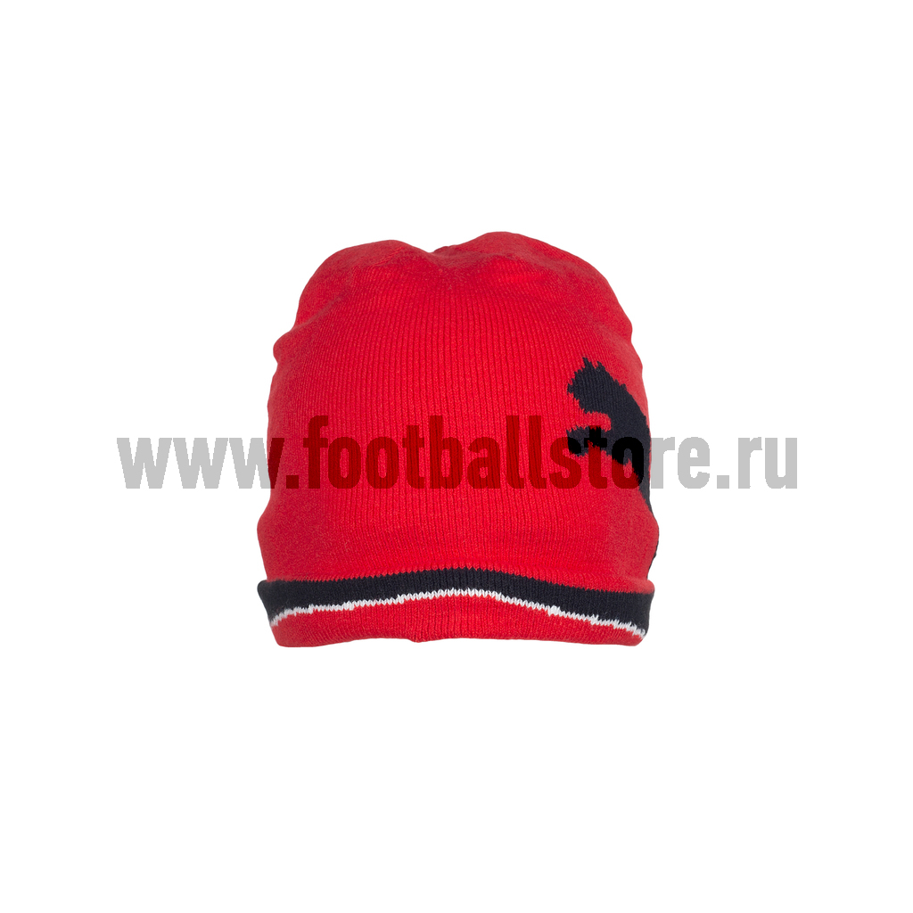Шапка Puma Beanie 65284301