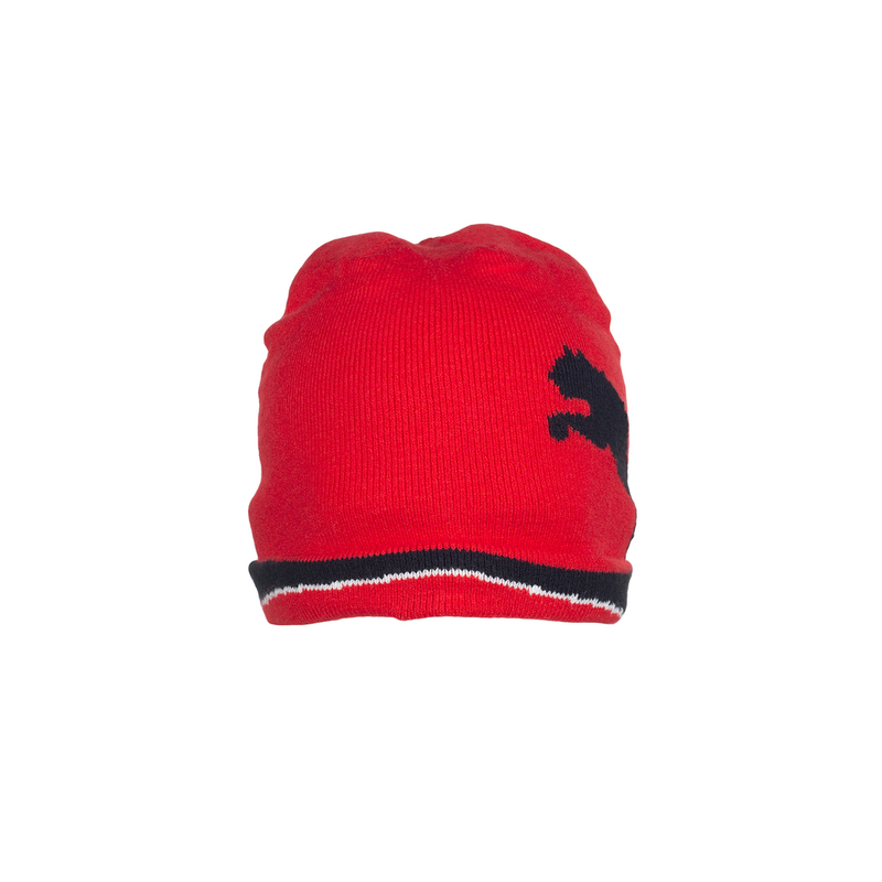 Шапка Puma Beanie 65284301