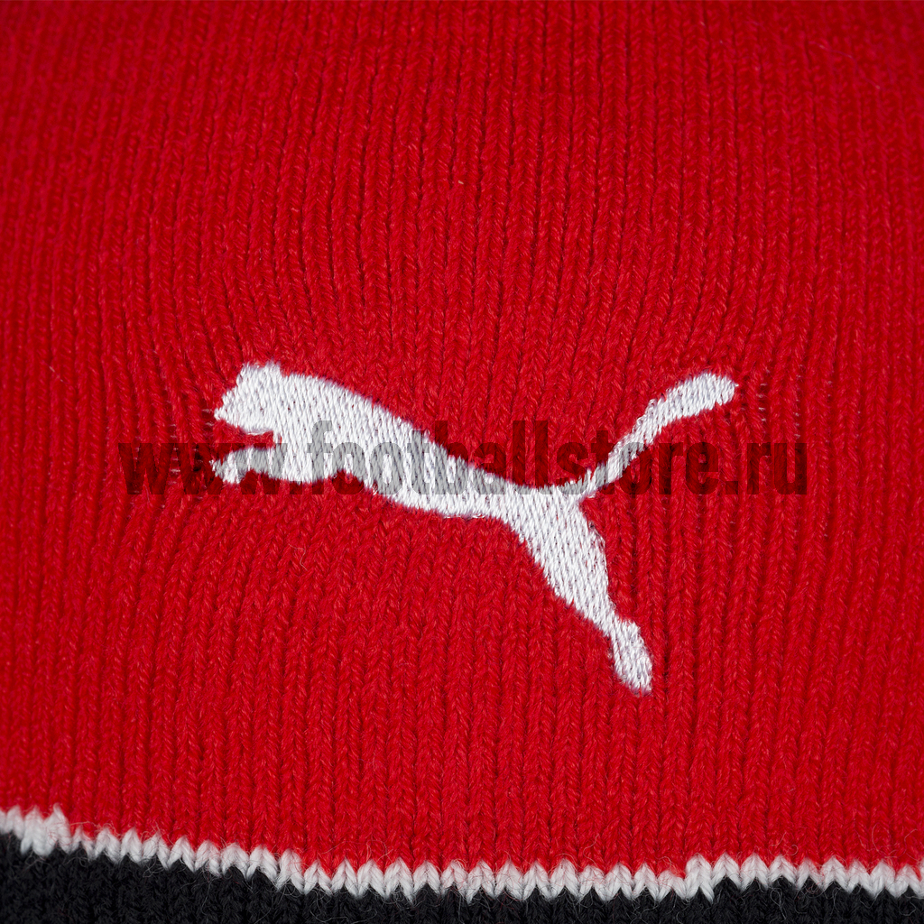 Шапка Puma Beanie 65284301