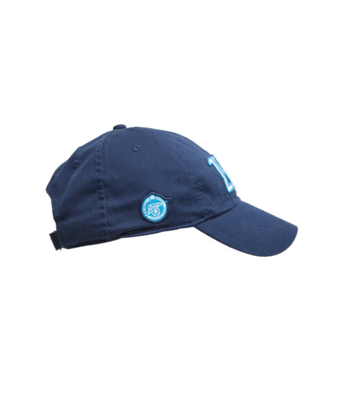 Бейсболка Nike Zenit mens core cap 480578-446