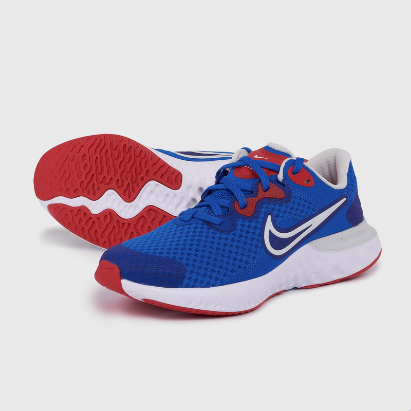 Кроссовки детские Nike Renew Run 2 CW3259-400