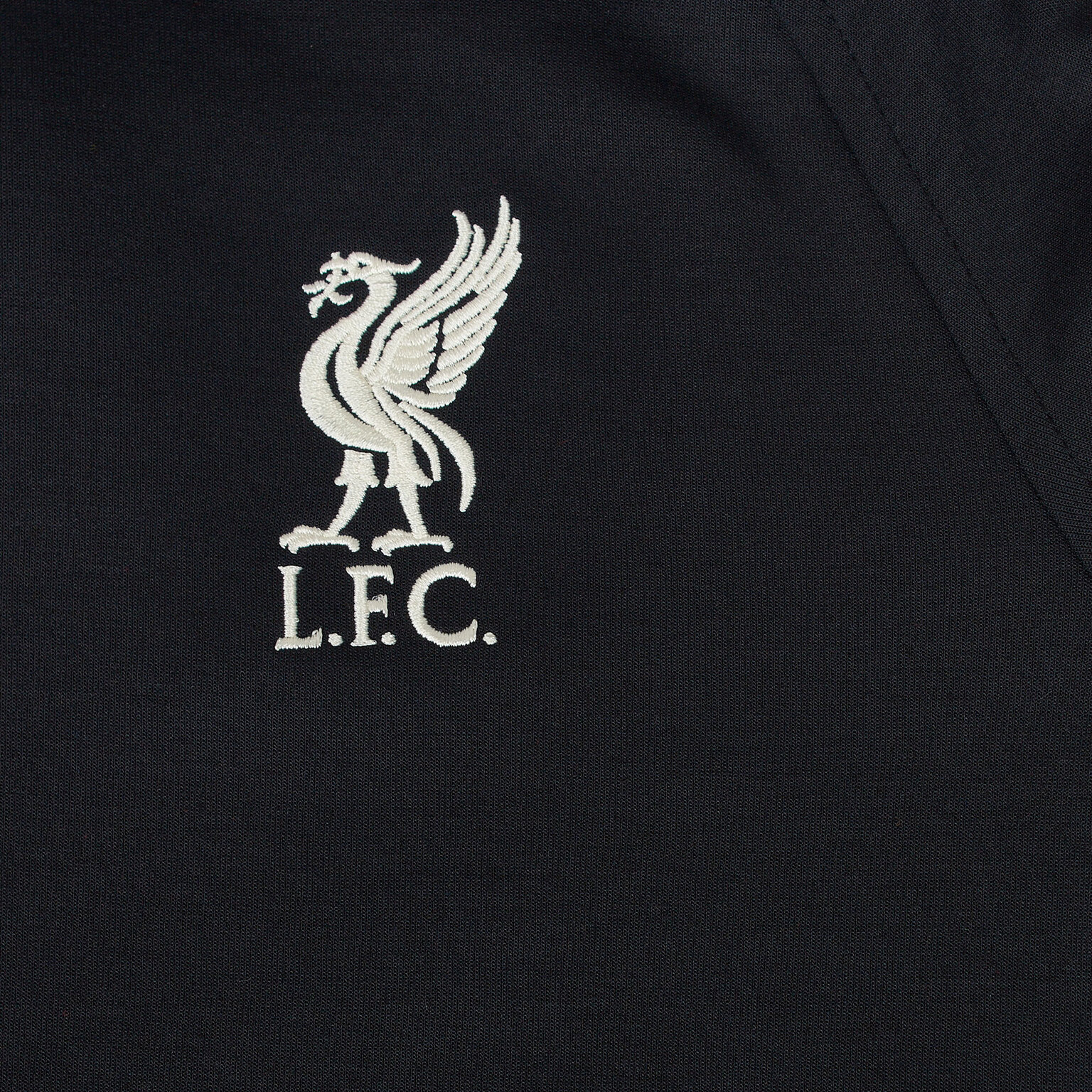 Толстовка подростковая Nike Liverpool Fleece Hoodie DB2937-010