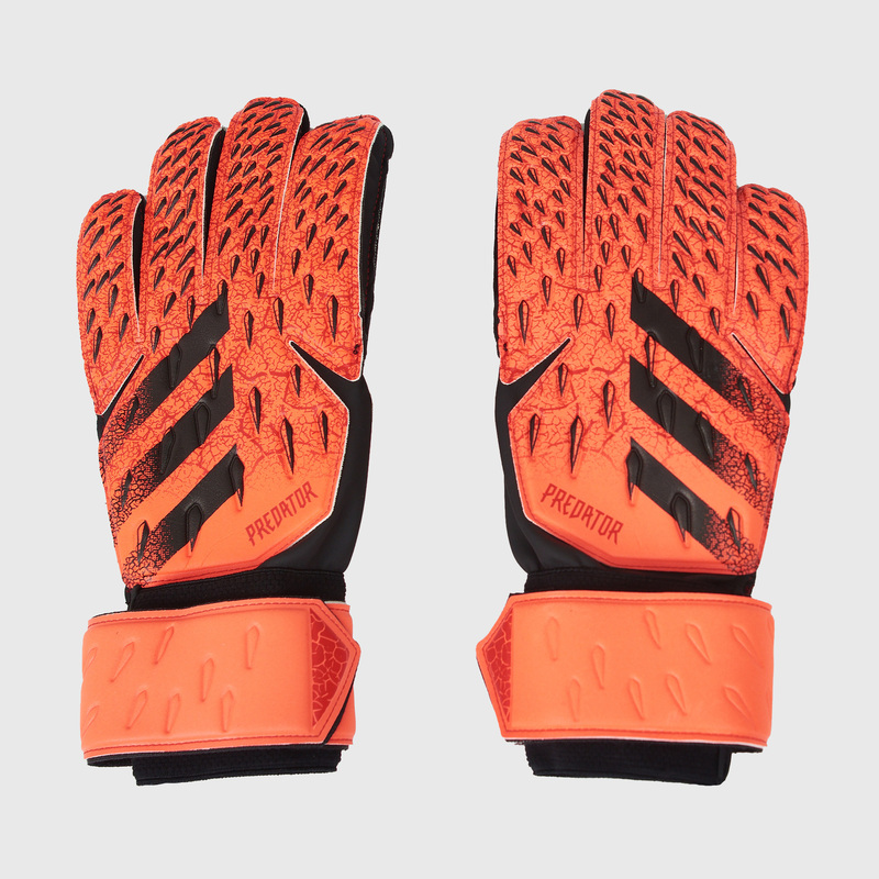 Перчатки вратарские Adidas Predator GL MTC GR1536