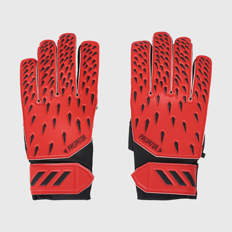 adidas predator gl training