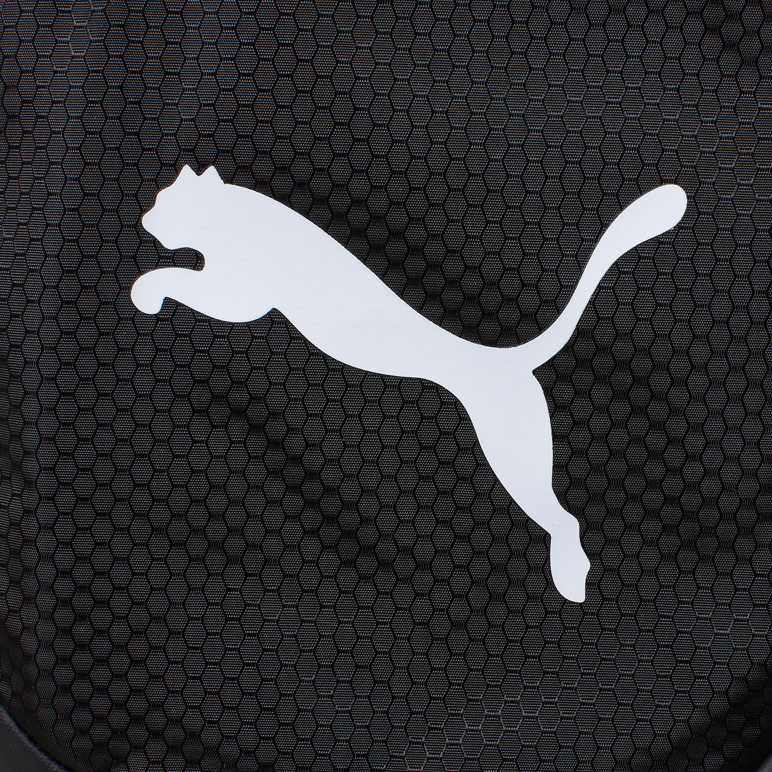 Puma Ozon