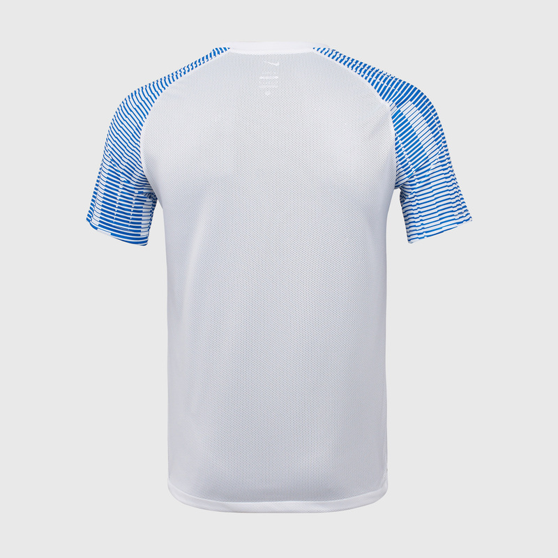 Футболка игровая Nike Academy DH8031-102