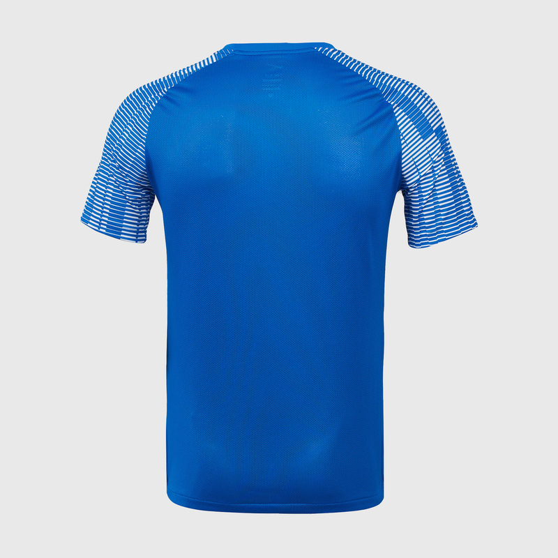 Футболка игровая Nike Academy DH8031-463