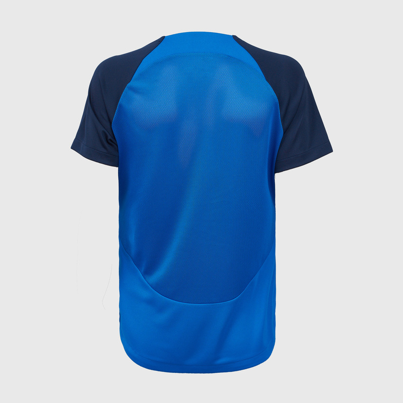 Футболка женская Nike Academy DH9242-463