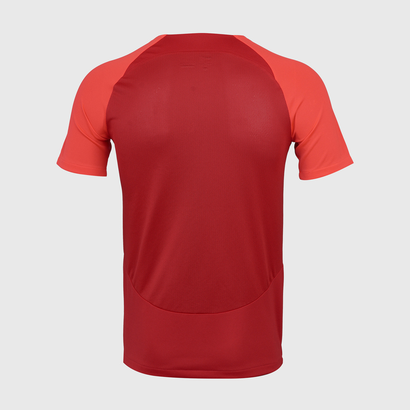 Футболка Nike Academy Pro SS Top DH9225-657