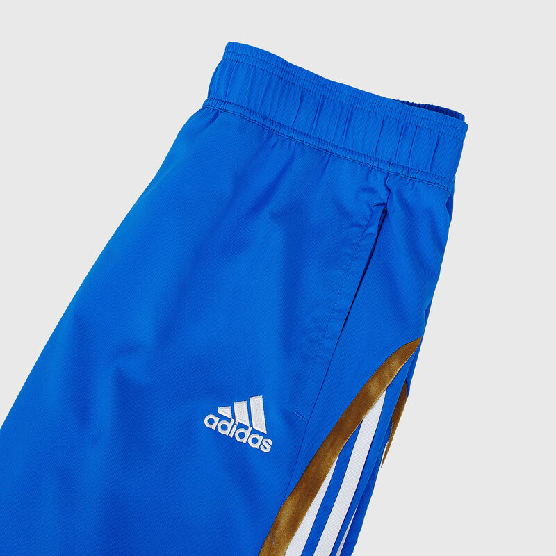 Брюки тренировочные Adidas Juventus Teamgeist H67142