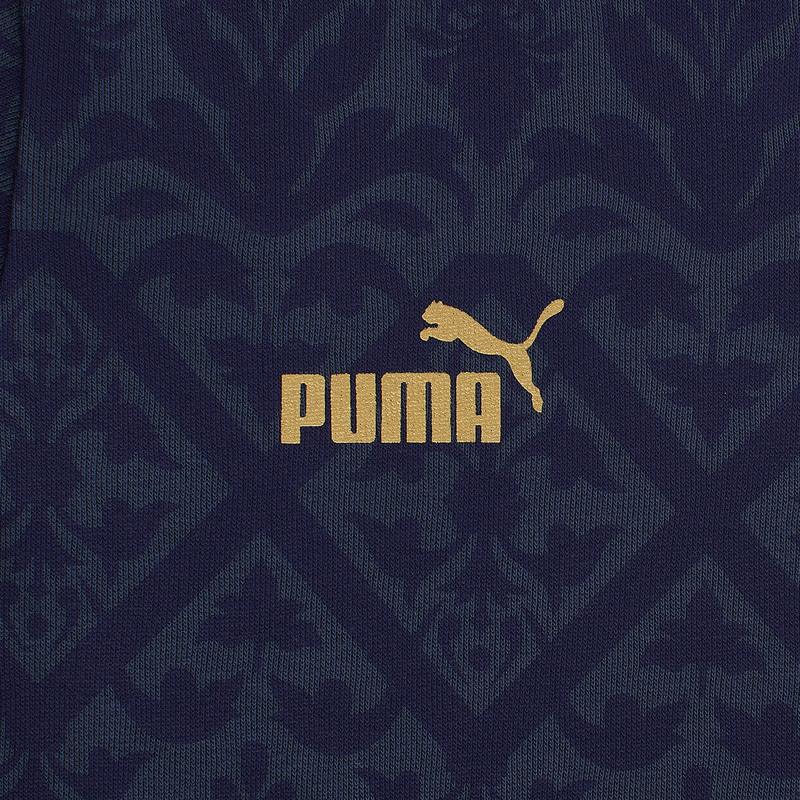 Толстовка подростковая Puma Italia Graphic Winner Hoodie 76999602