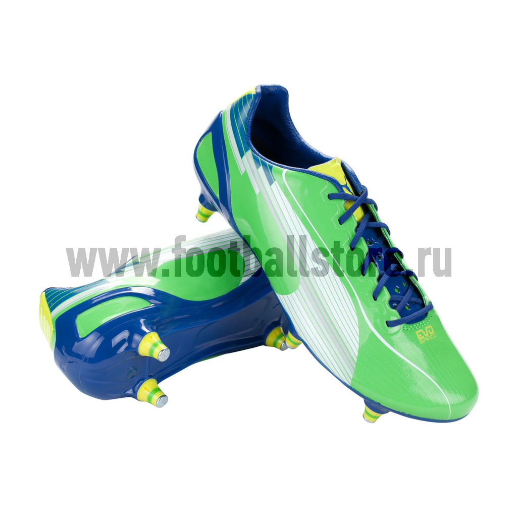 Бутсы Puma EvoSpeed 1 SG 10252605
