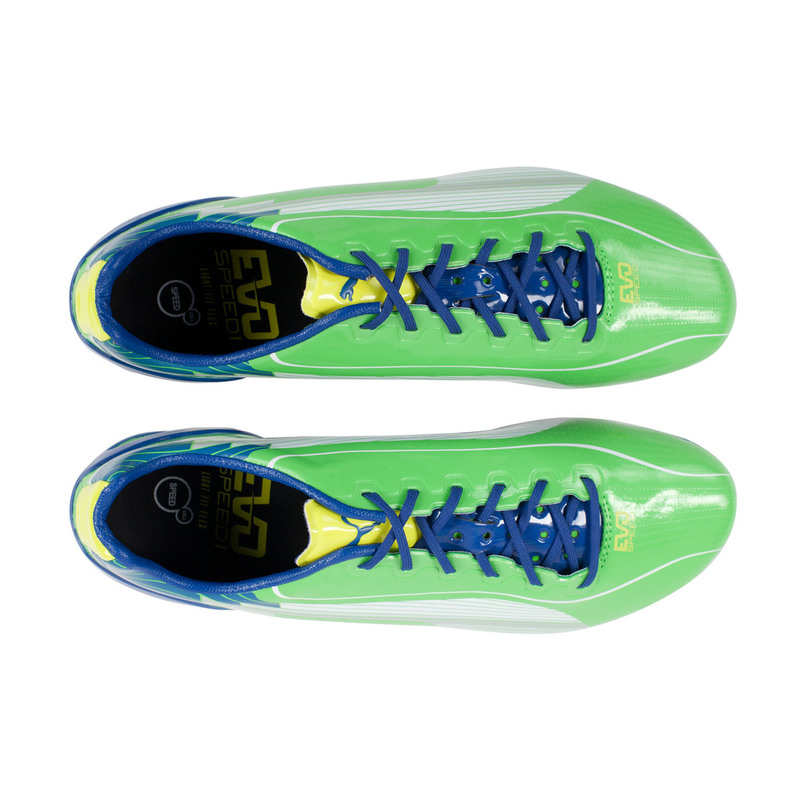 Бутсы Puma EvoSpeed 1 SG 10252605